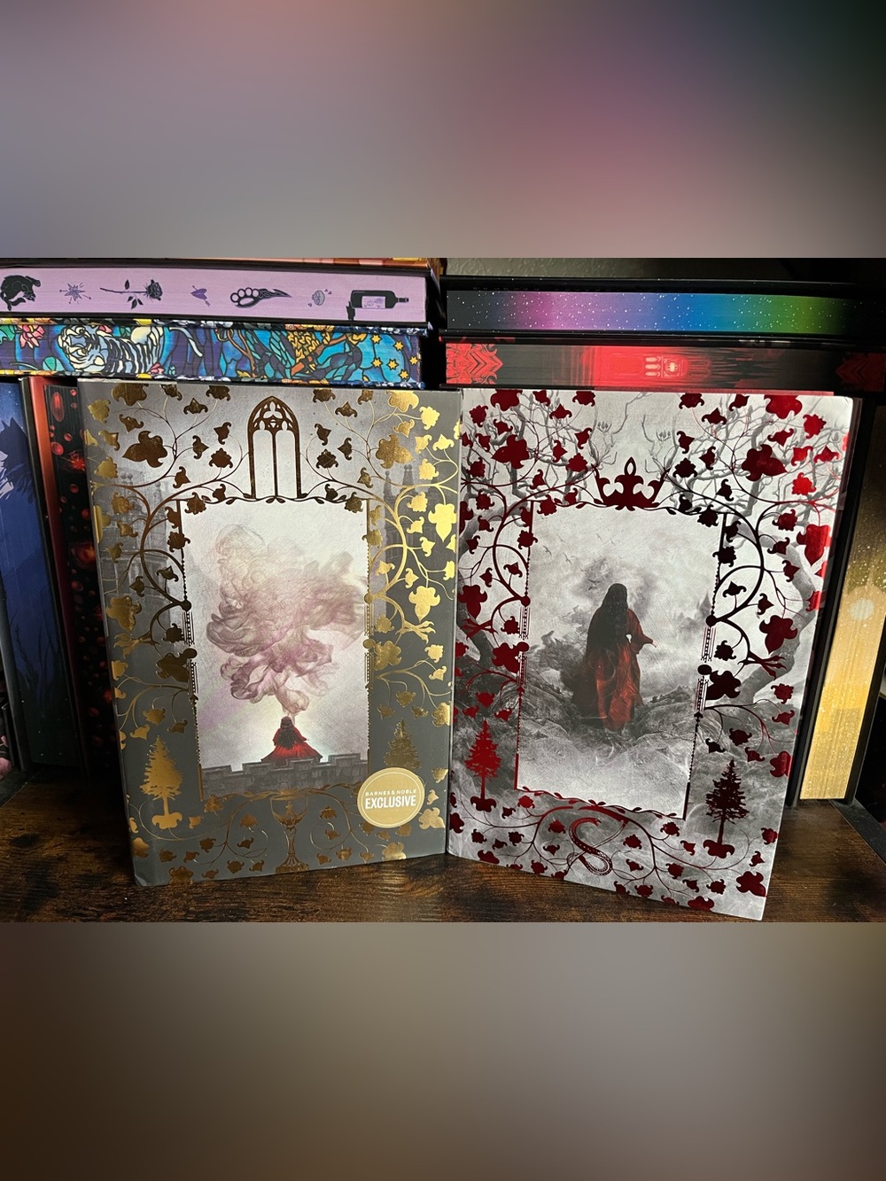 One Dark Window & Two Twisted Crowns B&N Exclusive Hardcovers By Rachel Gillig